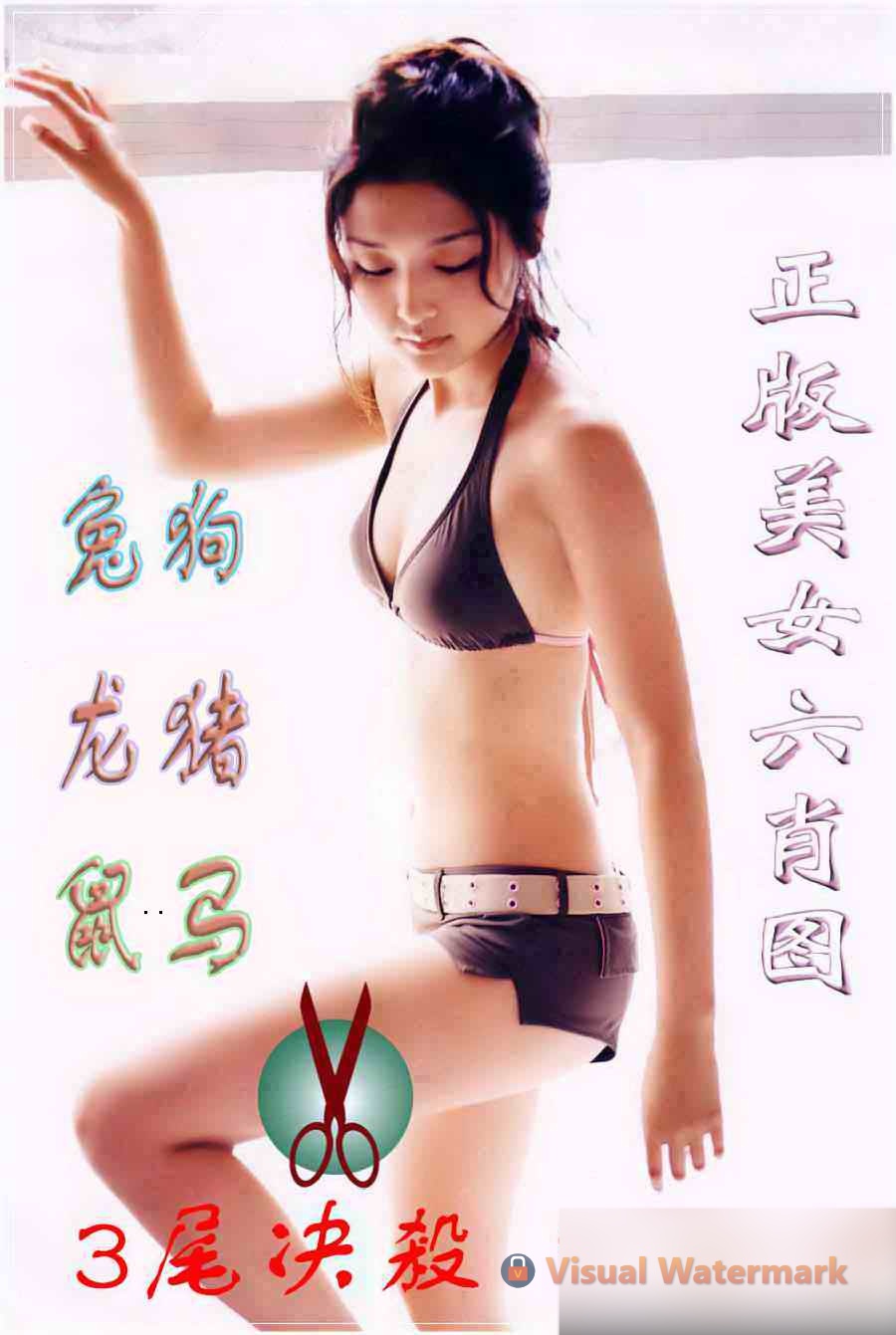 美女六肖②